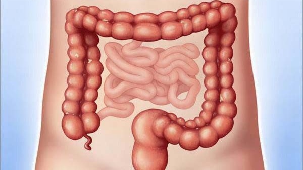 benh-viem-manh-trang-va-nhung-dieu-can-biet 1.jpg