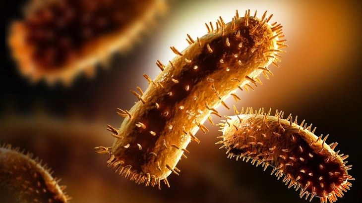 bi-cho-can-lan-2-co-can-chich-ngua-khong-nhung-dieu-can-biet 1