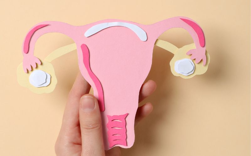 HPV là một trong những nguyên nhân chính gây ung thư sinh dục