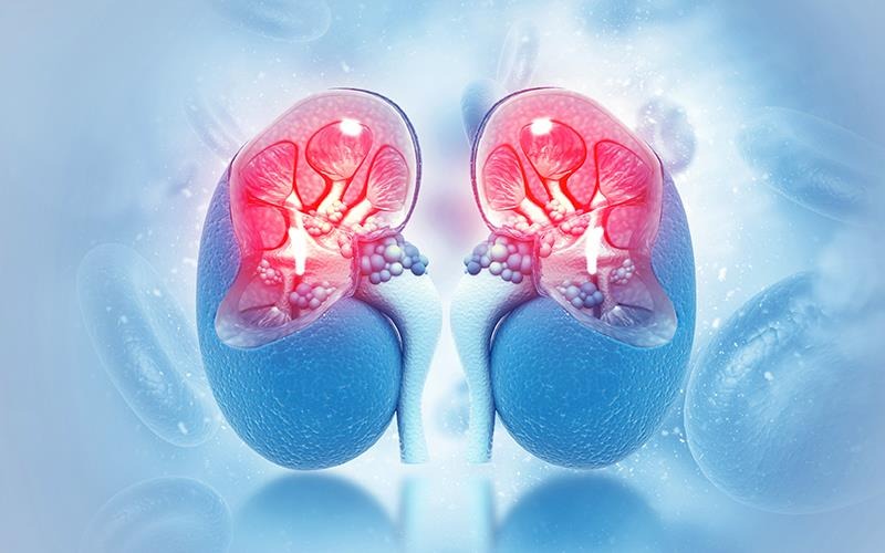 bien-chung-cua-hoi-chung-than-hu-neu-khong-duoc-chan-doan-som 1.jpg