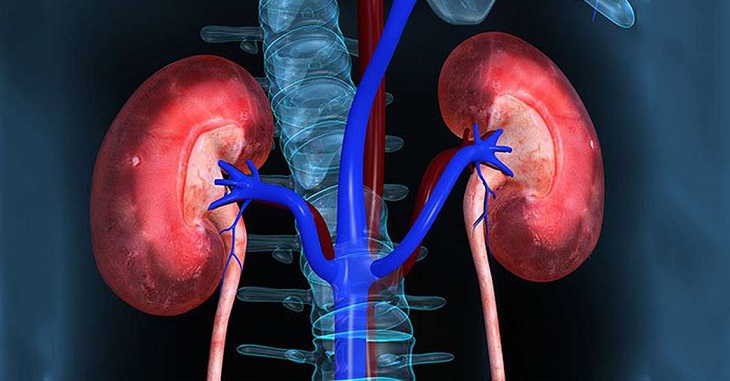 Biến chứng nhiễm trùng thận ảnh hưởng đến sức khỏe 1