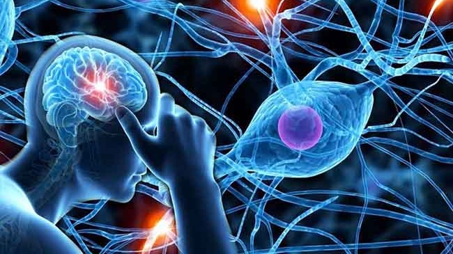 Biến chứng thần kinh của bệnh tiểu đường có nguy hiểm không? Làm thế nào để phòng tránh? 2