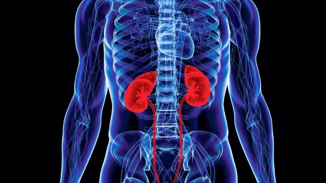 Biểu hiện lâm sàng bệnh Amyloidosis