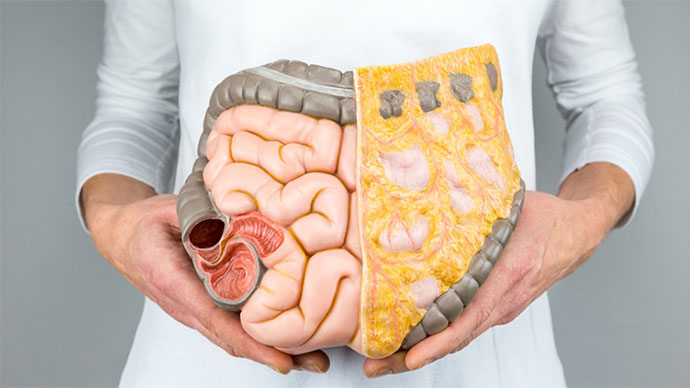 Bioflora 100mg uống trước hay sau ăn tốt hơn? Lưu ý khi dùng Bioflora 1