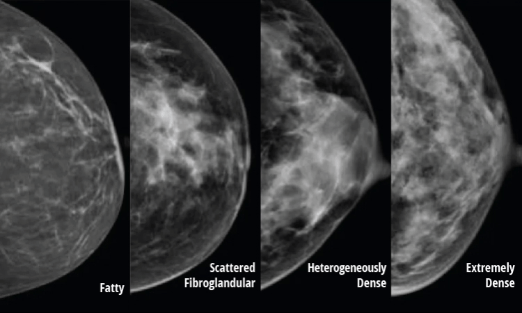 Gozal qiz Vika bilan jinsiy aloqa