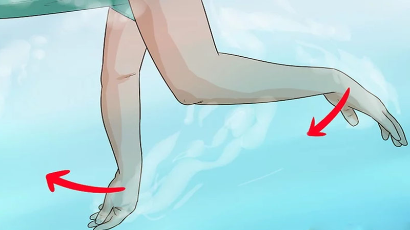 Bơi chó: Tác dụng, cách tiếp nước và những lưu ý quan trọng 2