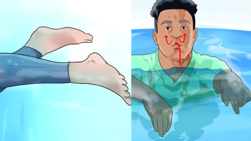 Bơi chó: Tác dụng, cách tiếp nước và những lưu ý quan trọng 4