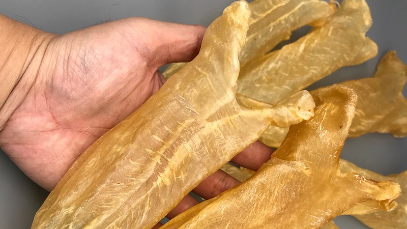 Bong bóng cá là gì? Có lợi ích gì cho sức khỏe? 4