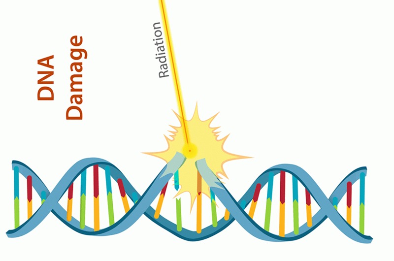 Bức xạ là gì? Tác động của bức xạ đối với sức khoẻ 4