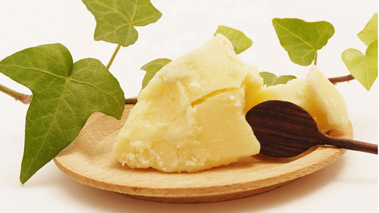 Butyrospermum Parkii Butter là gì? Công dụng của Butyrospermum Parkii Butter trong mỹ phẩm 2
