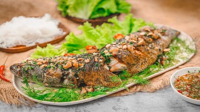 Cá tràu: Đặc điểm, lợi ích và một số lưu ý khi sử dụng 4