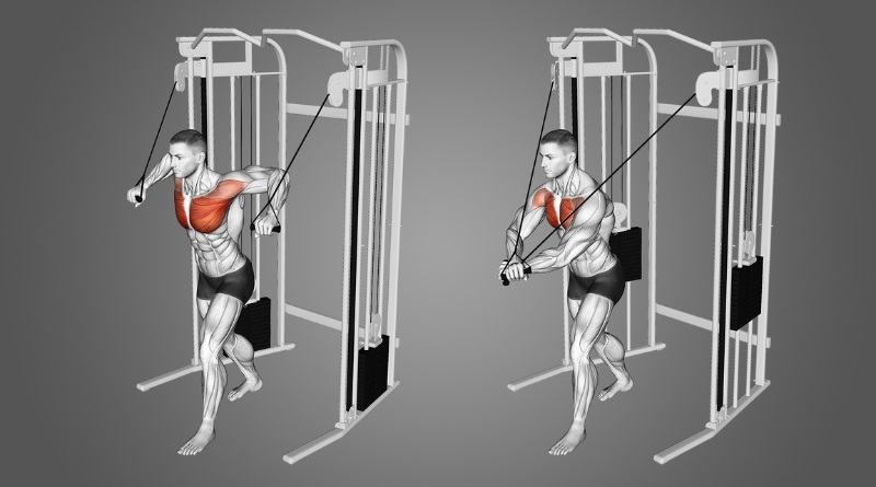 Bài tập này thích hợp để tập ở phòng tập với thiết bị chuyên dụng