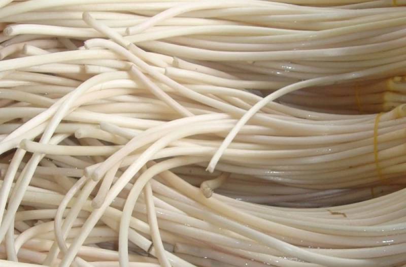 Các bài thuốc từ cây thuốc nam chữa bí tiểu tại nhà có hiệu quả không? 3