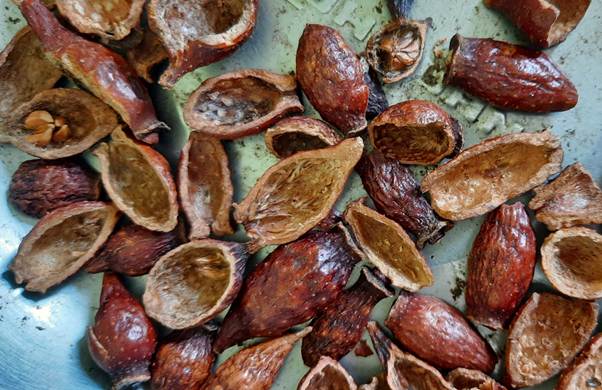 Các bài thuốc từ cây thuốc nam chữa bí tiểu tại nhà có hiệu quả không? 6