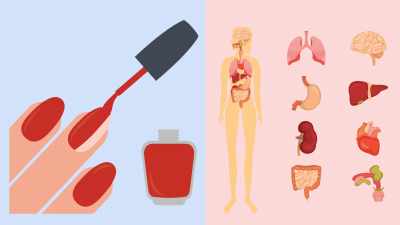 Các chất trong sơn móng tay có hại không? Nên lưu ý gì khi chọn sơn móng tay? 4