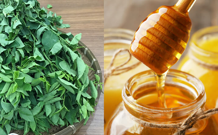 Các bài thuốc từ cây thuốc nam chữa nhiệt miệng&nbsp;có hiệu quả không? 2