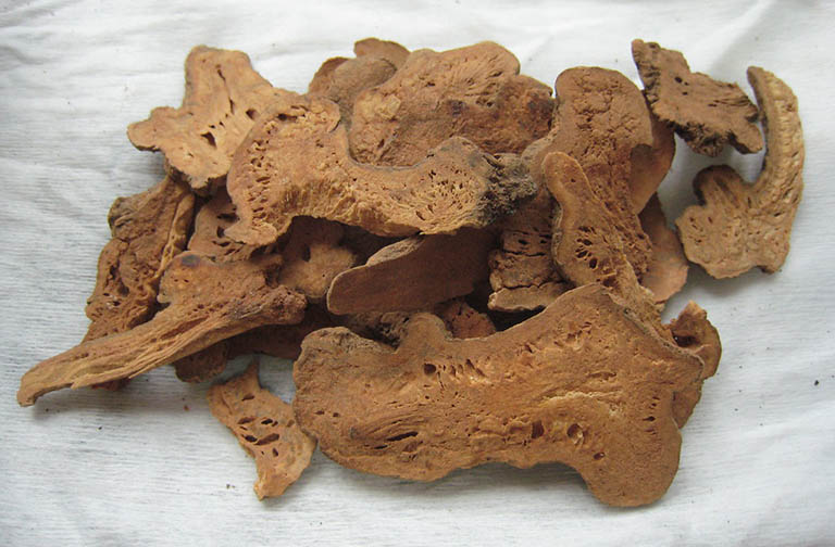 Các loại thuốc nam chữa bệnh nhược cơ hiệu quả được nhiều người tin dùng 4