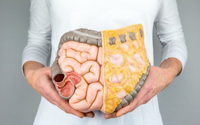 cach-an-uong-giam-mo-bung 1.jpg