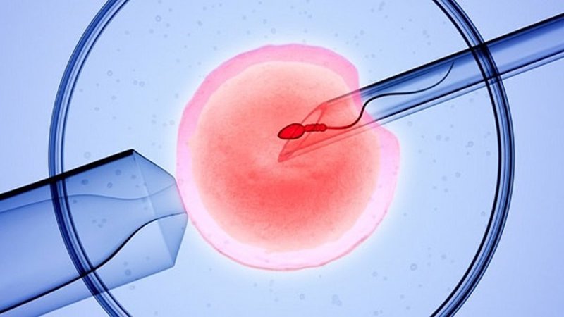 Cách chăm sóc thai IVF 3 tháng đầu để mẹ và bé an toàn, khỏe mạnh 1