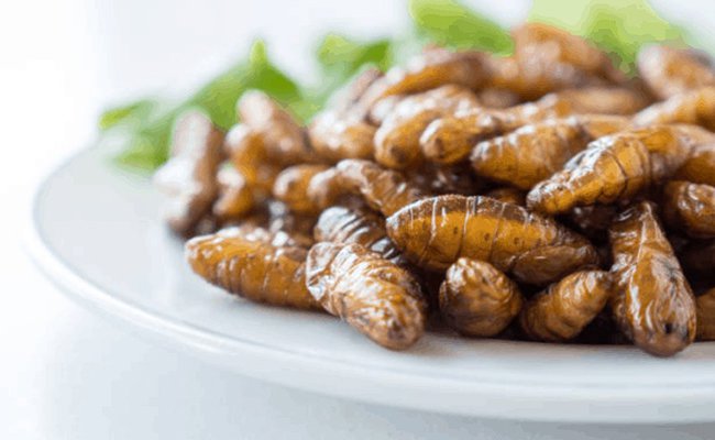 Cách chữa dị ứng khi ăn côn trùng tại nhà 5