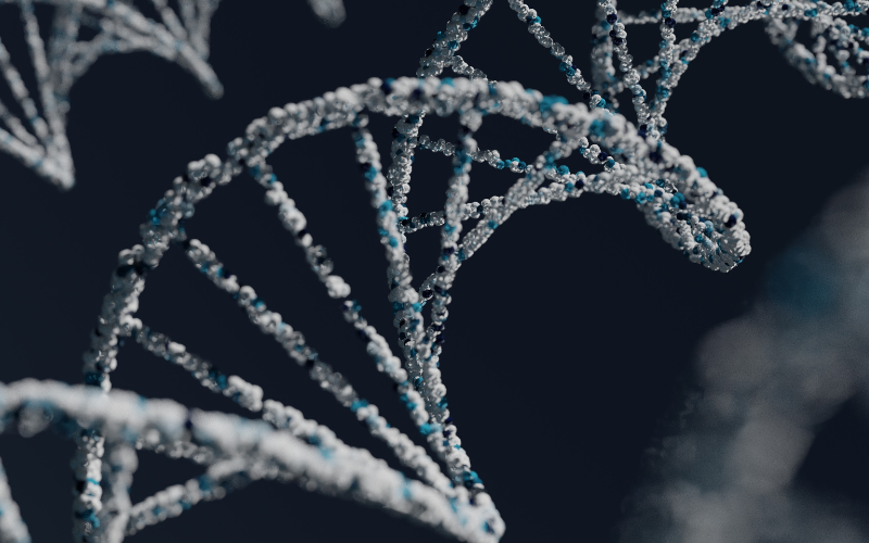 Cách đọc kết quả xét nghiệm NIPT đúng cách mẹ bầu cần biết 1