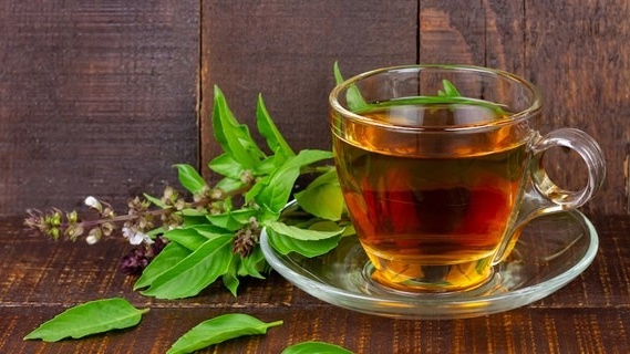 Cách dùng húng quế chữa mất ngủ và những điều cần biết 1