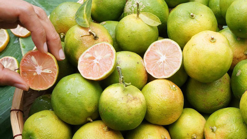 Cách ngâm chanh đào mật ong tại nhà giúp trị ho hiệu quả, an toàn 3