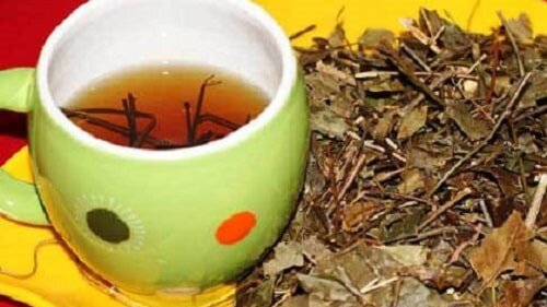 cach-su-dung-cay-mat-gau-chua-da-day-hieu-qua 2.jpg