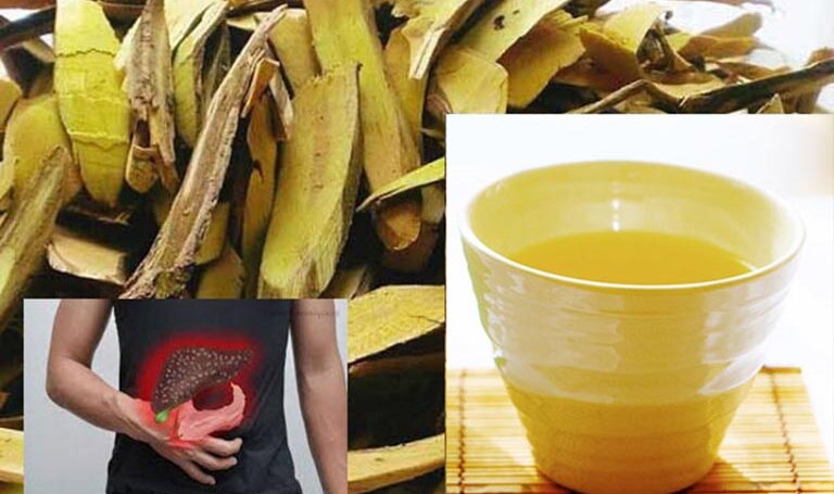 cach-su-dung-cay-mat-gau-chua-da-day-hieu-qua 3.jpg