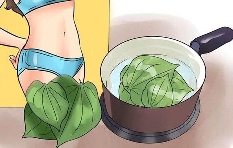 cách trị huyết trắng bằng lá lốt đơn giản tại nhà 6