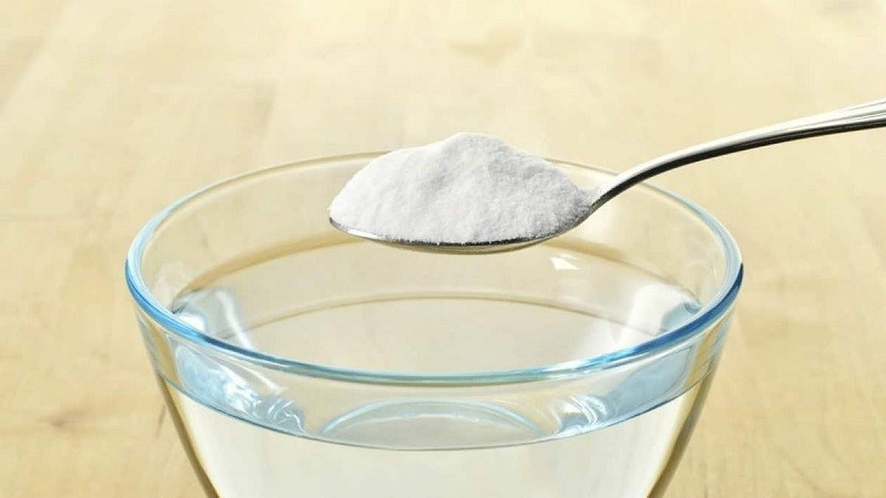 Cách trị ngứa vùng kín tại nhà an toàn hiệu quả mà bạn nên biết 4