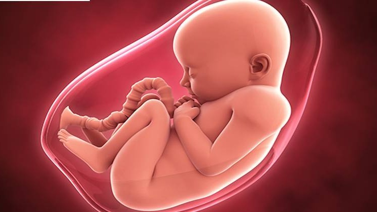 Cạn ối cuối thai kỳ có nguy hiểm hay không? 1