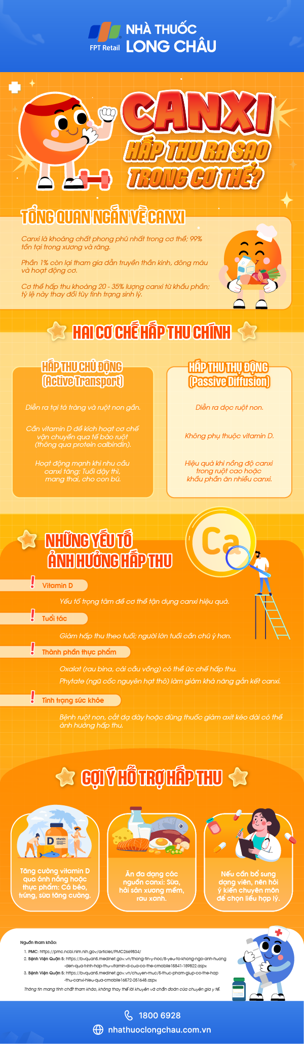 canxi-hap-thu-ra-sao-trong-co-the-infographic.png