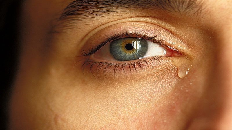 Cắt bỏ túi lệ: Trường hợp chỉ định, quy trình và cách xử trí tai biến 2