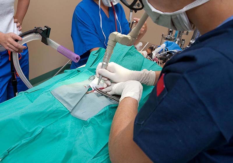 Cắt trĩ bằng laser: Ưu và nhược điểm khi thực hiện 1