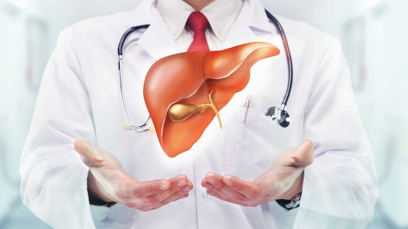 cau-tao-cua-gan-nhu-the-nao-nhung-dieu-can-biet-ve-gan 3