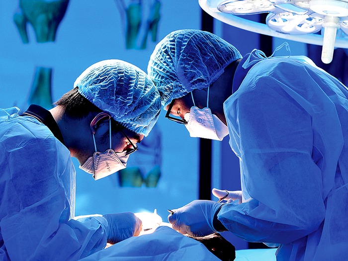 cau-tao-va-giai-phau-vung-co 1.jpg