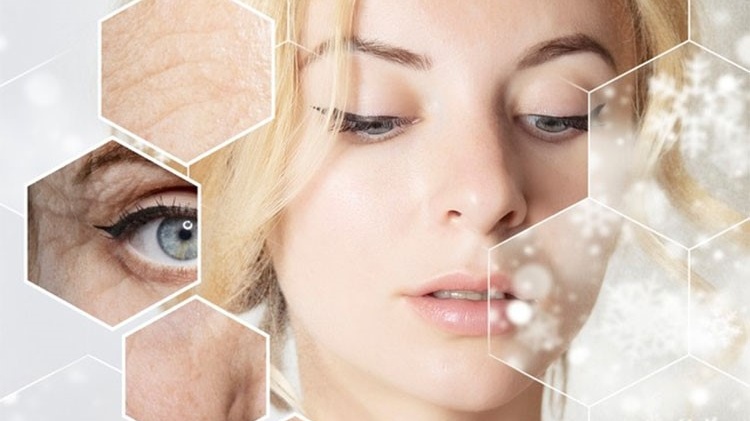 cay-dna-ca-hoi-co-cong-dung-gi-nhung-dieu-can-biet 2