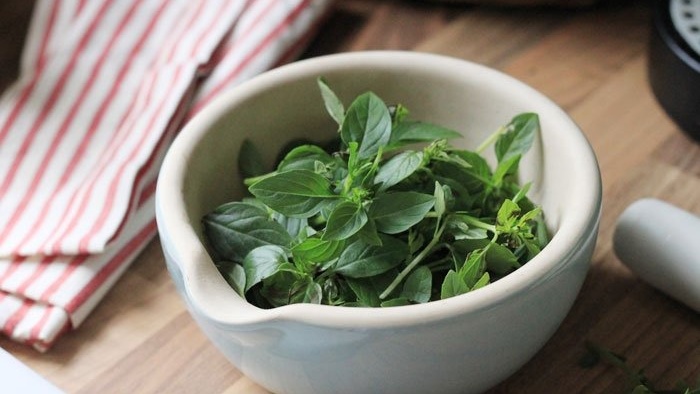 Cây húng quế có tác dụng chữa bệnh gì? 2