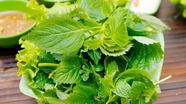 Cây kinh giới chữa cảm cúm được không? 2