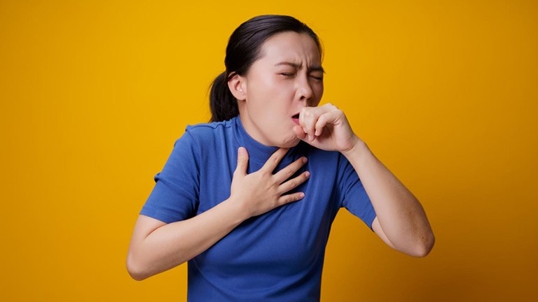 Cây kinh giới trị ho theo cách dân gian