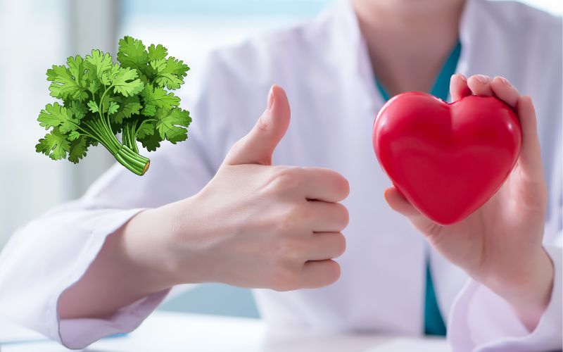 Cây mùi già có tác dụng gì? Vì sao phải tắm mùi già vào 30 Tết? 3