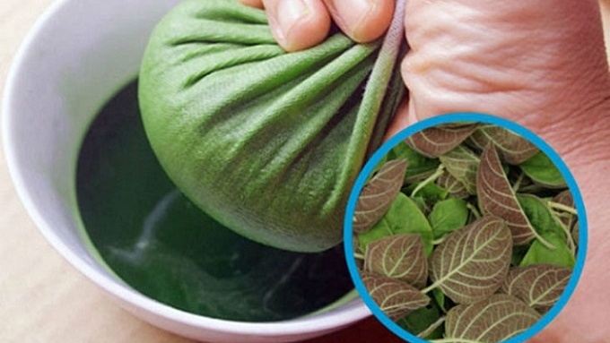 Gợi ý cây thuốc nam trị vi khuẩn HP không thể bỏ qua 6