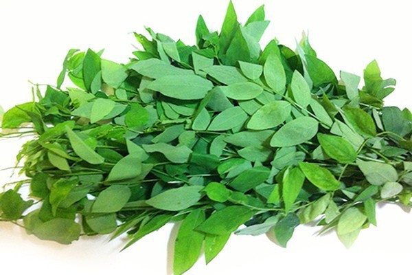 Cây thuốc nam uống đẹp da bạn cần biết 2