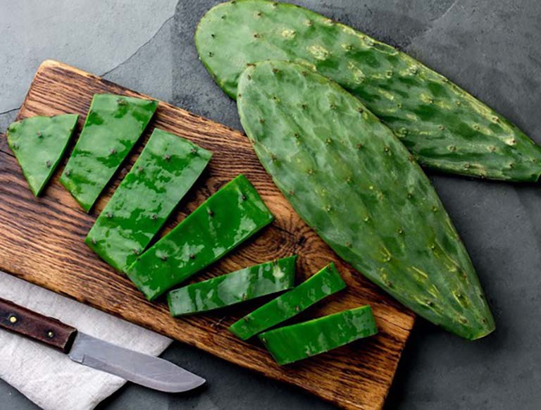 Cây xương rồng trị gai cột sống - Thực hư như thế nào? 3