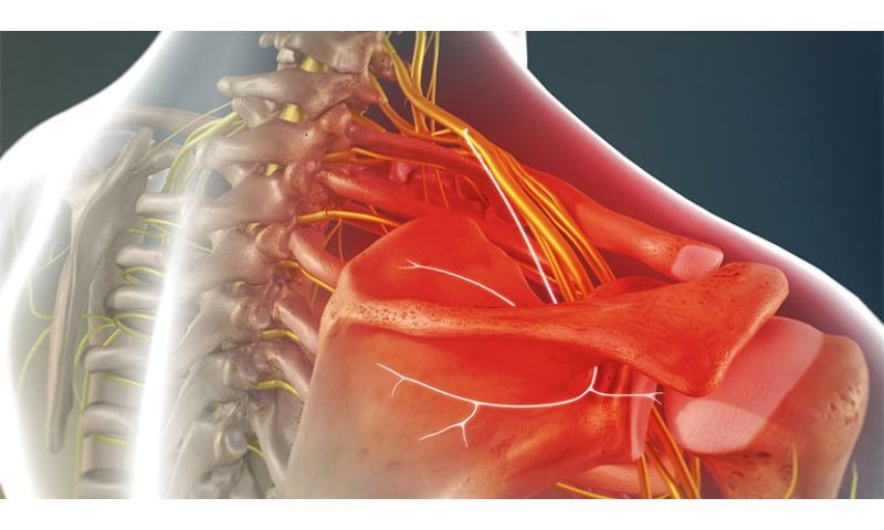 chat-dan-truyen-than-kinh-anh-huong-den-suc-khoe-tinh-than 2.jpg