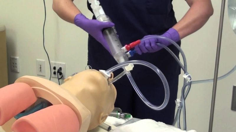 Chất độc ricin là gì và cách phòng tránh nhiễm độc4