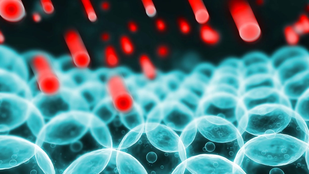 Chất oxi hóa là gì? Thế nào là oxi hóa trong cơ thể? 1