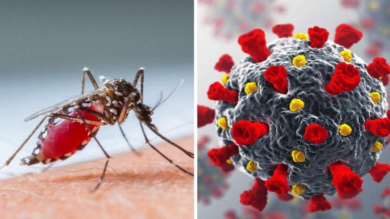 Chảy máu khi bị sốt xuất huyết 01