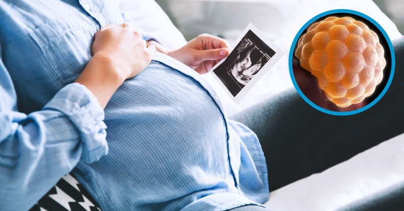 chi-so-beta-hcg-thai-5-tuan-tang-cao-co-nguy-hiem-khong 4.jpg